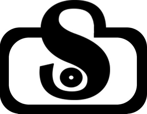 This Special Moment Photography logo